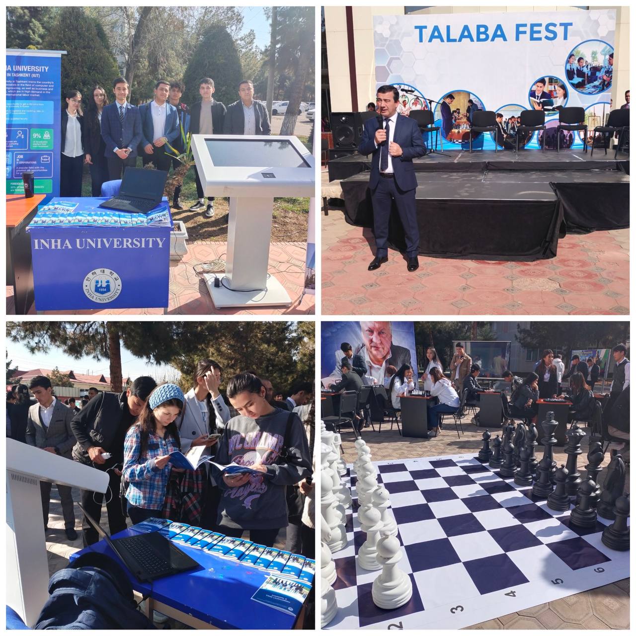 IUT students took part in the festival 